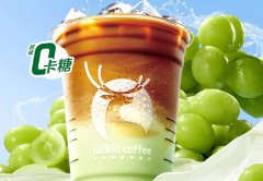 瑞幸咖啡加盟利润分析
